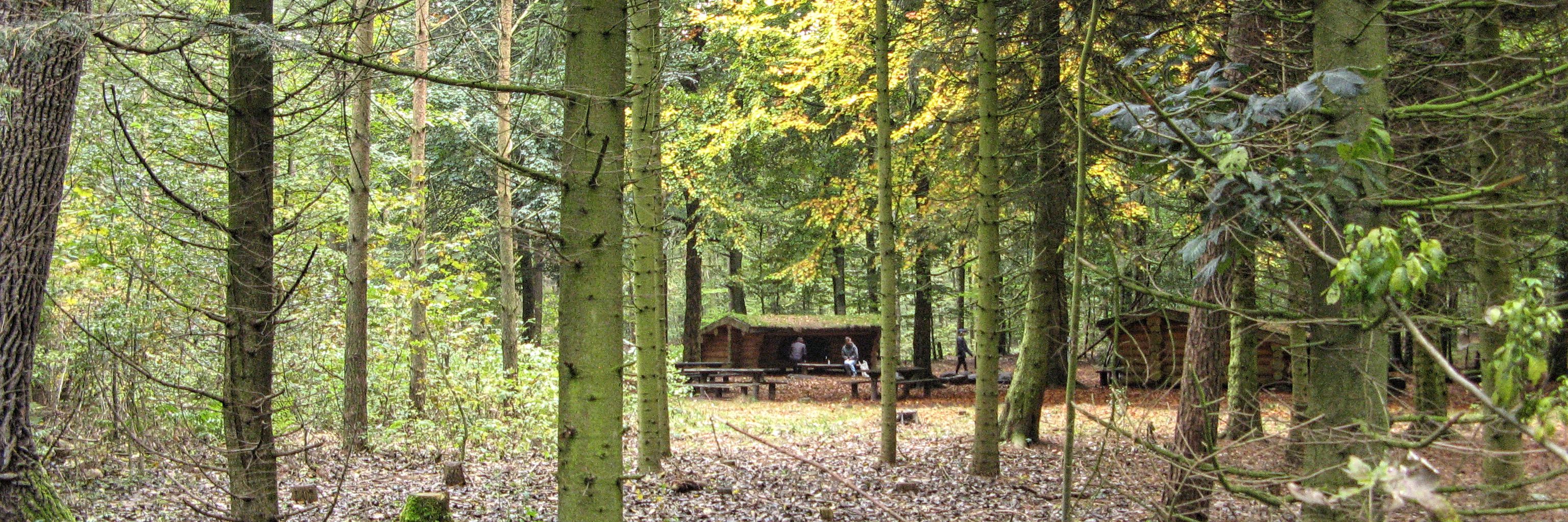 Shelters i Fladbro Skov