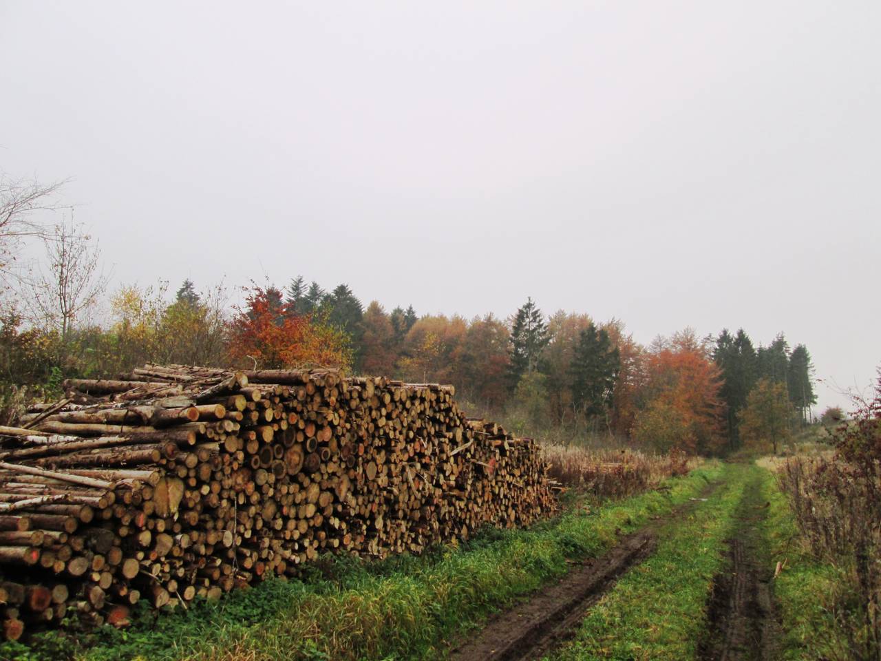 Sti ved brændestabel