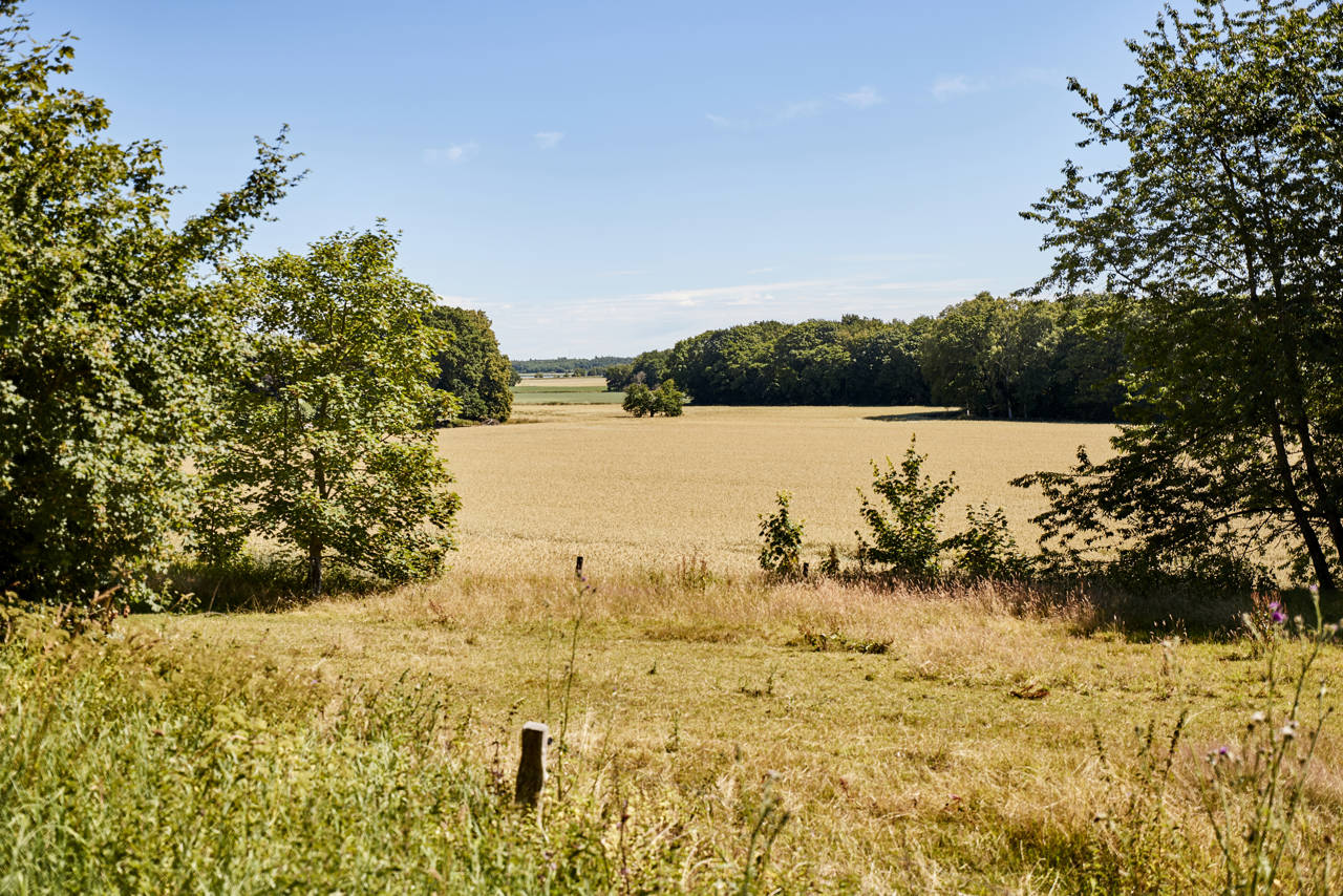 Dødislandskabet ved Støvring
