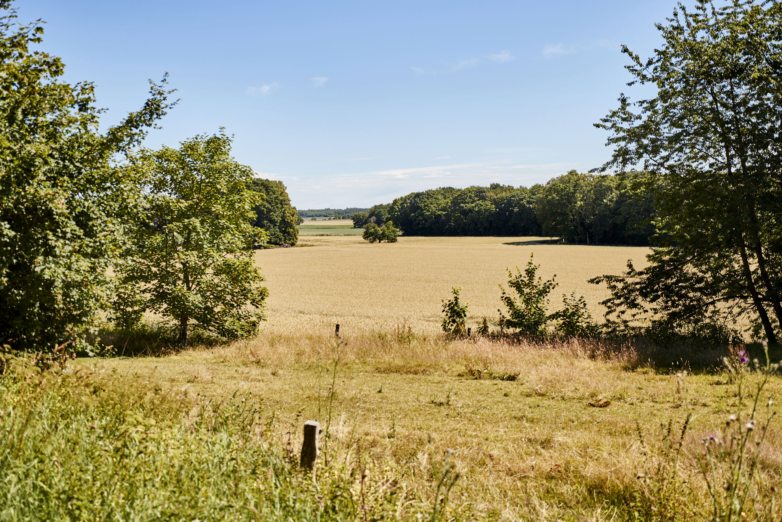 Dødislandskabet ved Støvring