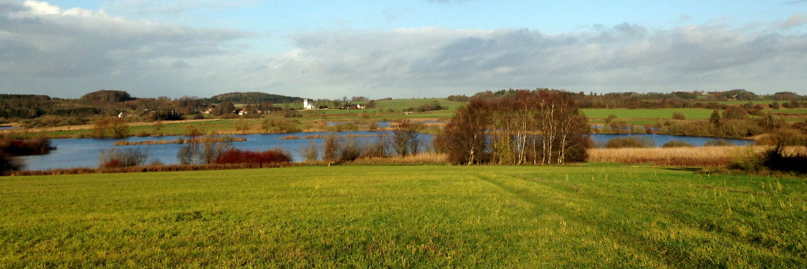 Marker og sø med Kousted Kirke i baggrunden