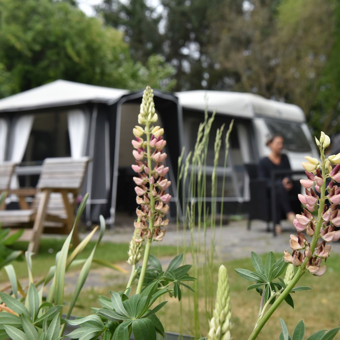 Borupvængets campingvogn