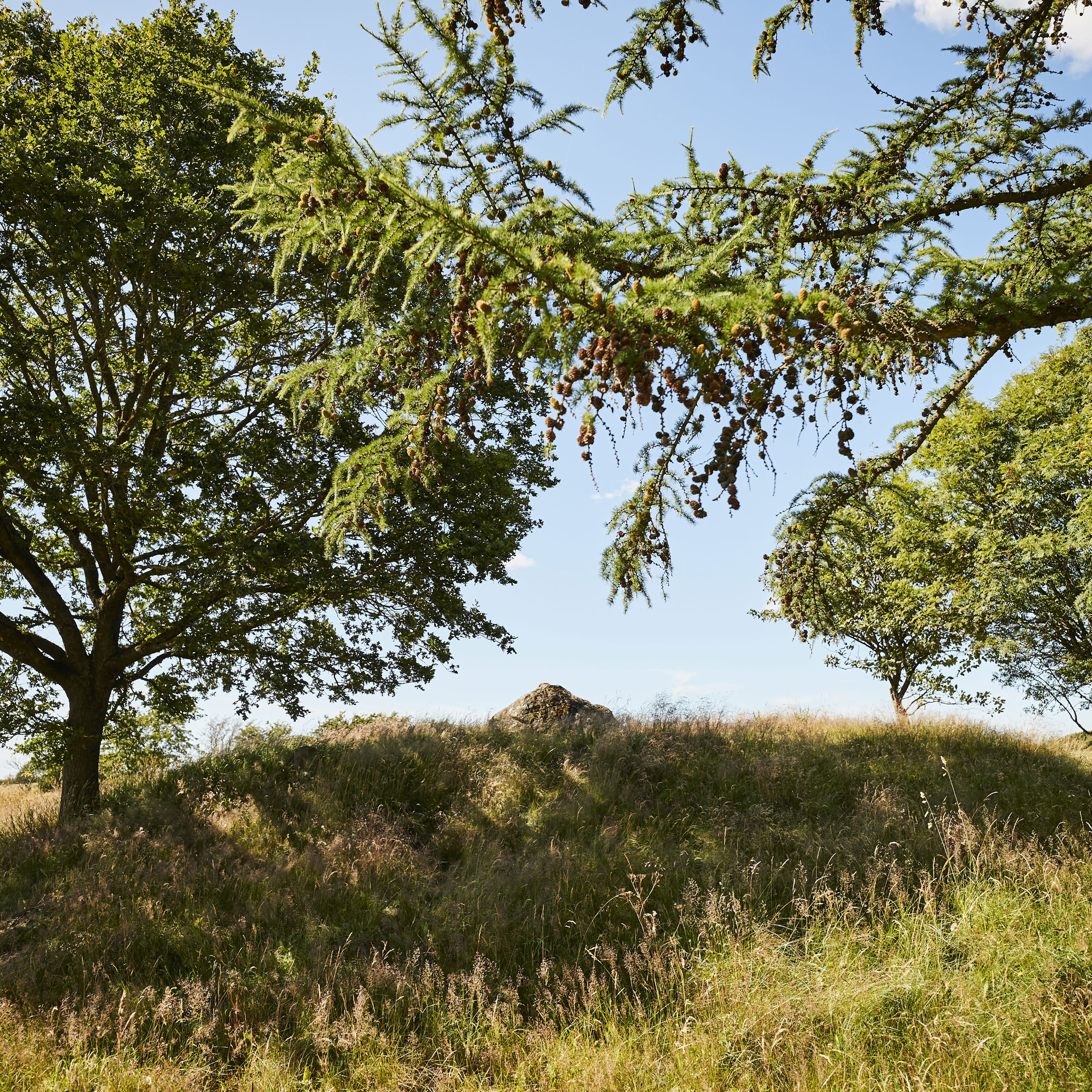 Haversdås Jættestue