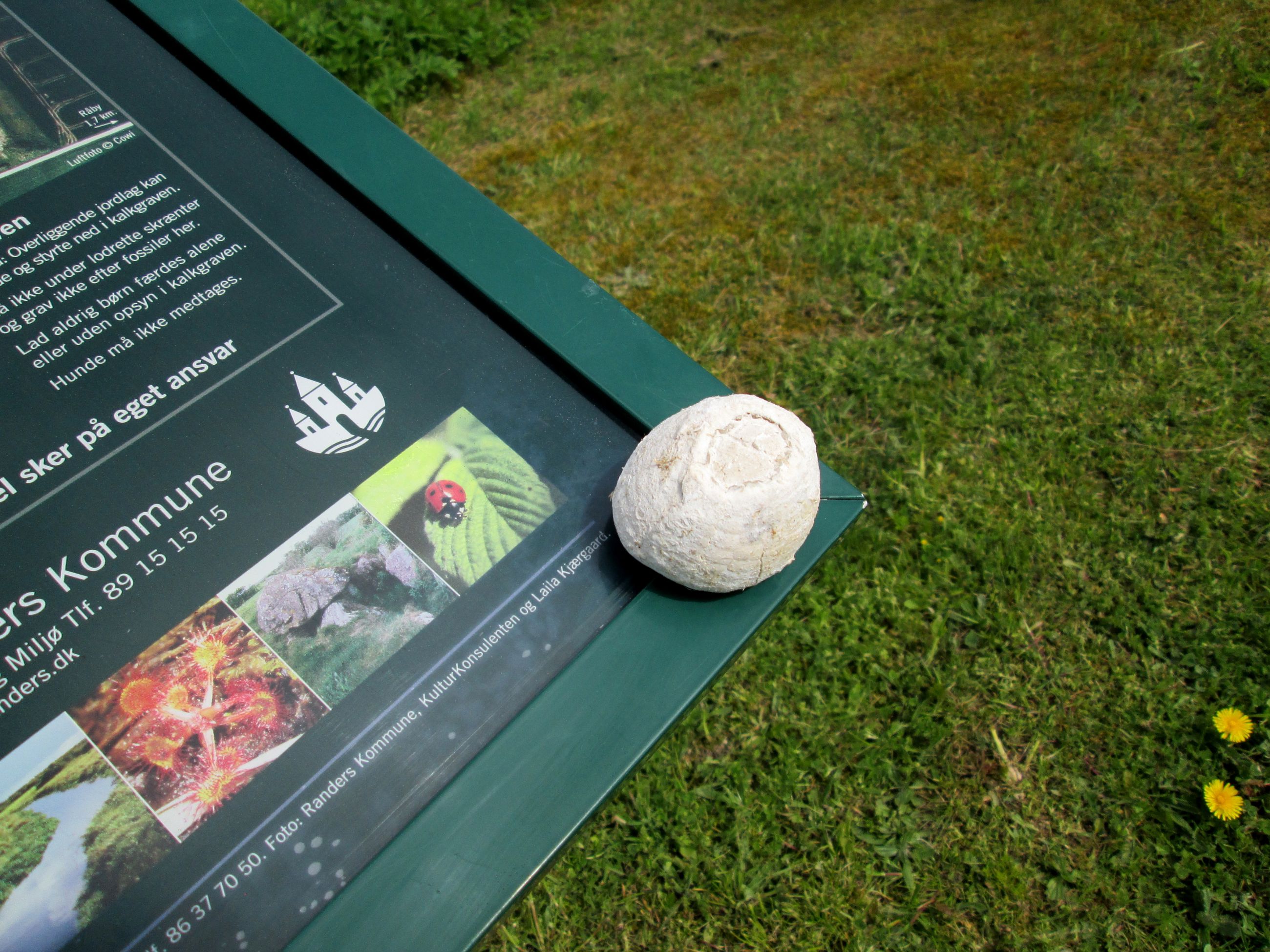 Sten på skilt fra Dalbyover Kalkgrav